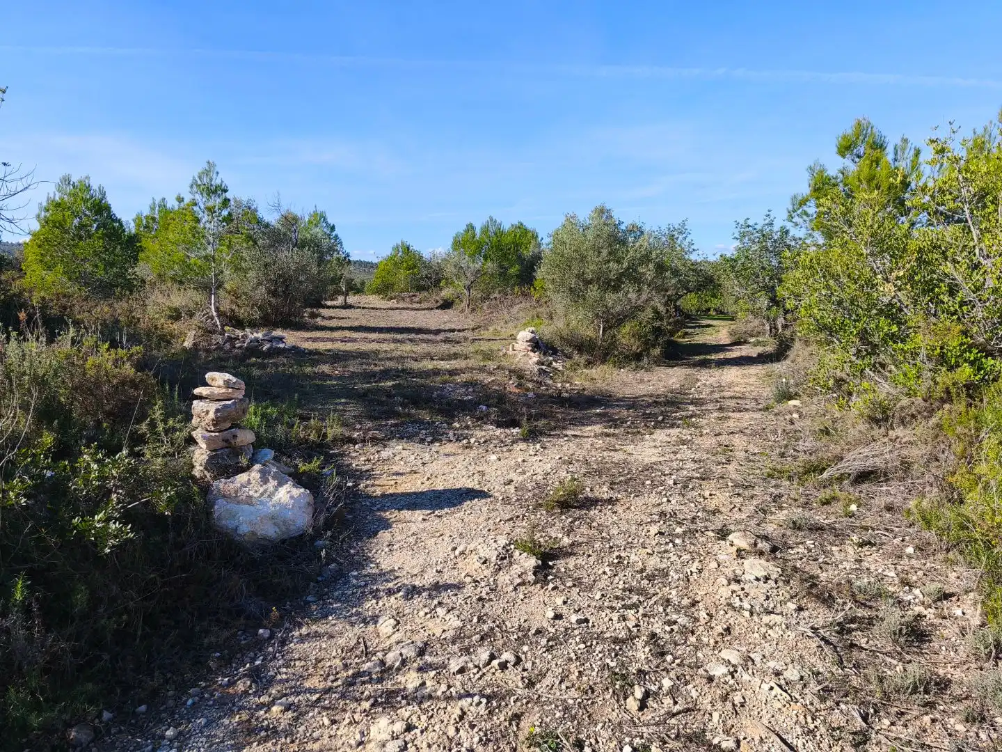 Rural land for sale in Carrer Fray Salvador 50, imagen 3