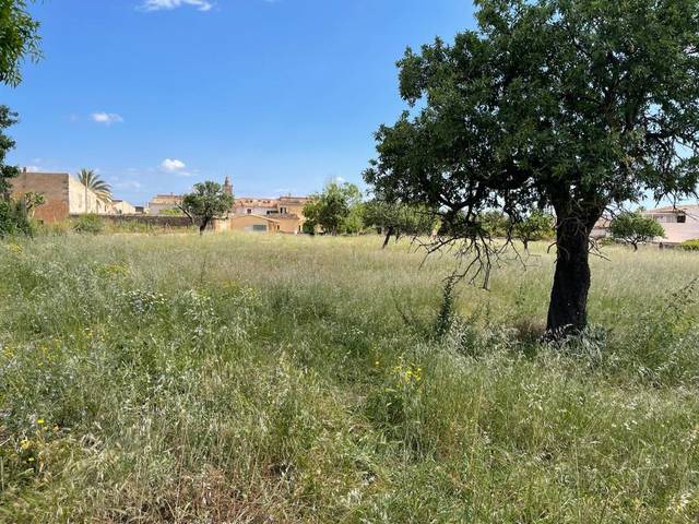 Terreno en Venta en Consell