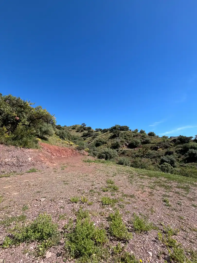 Terreno rústico en venta en Almogía, imagen 6