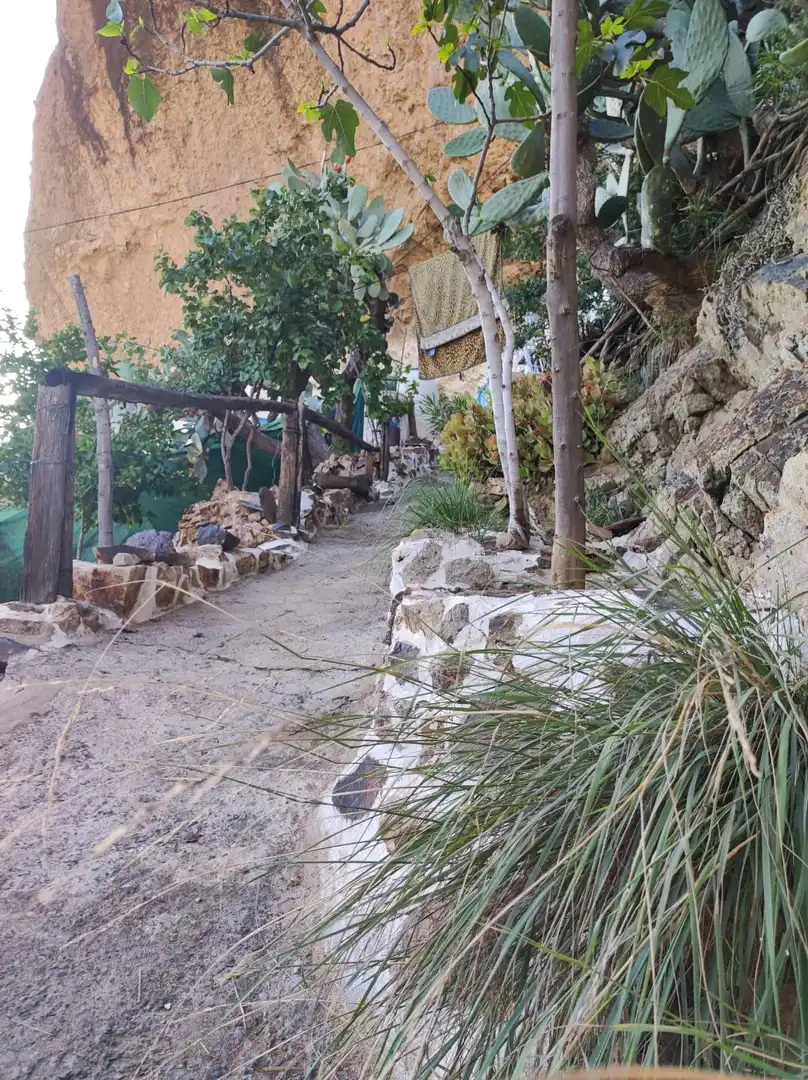 Vista exterior de Finca rústica en venta en Tejeda con Balcón