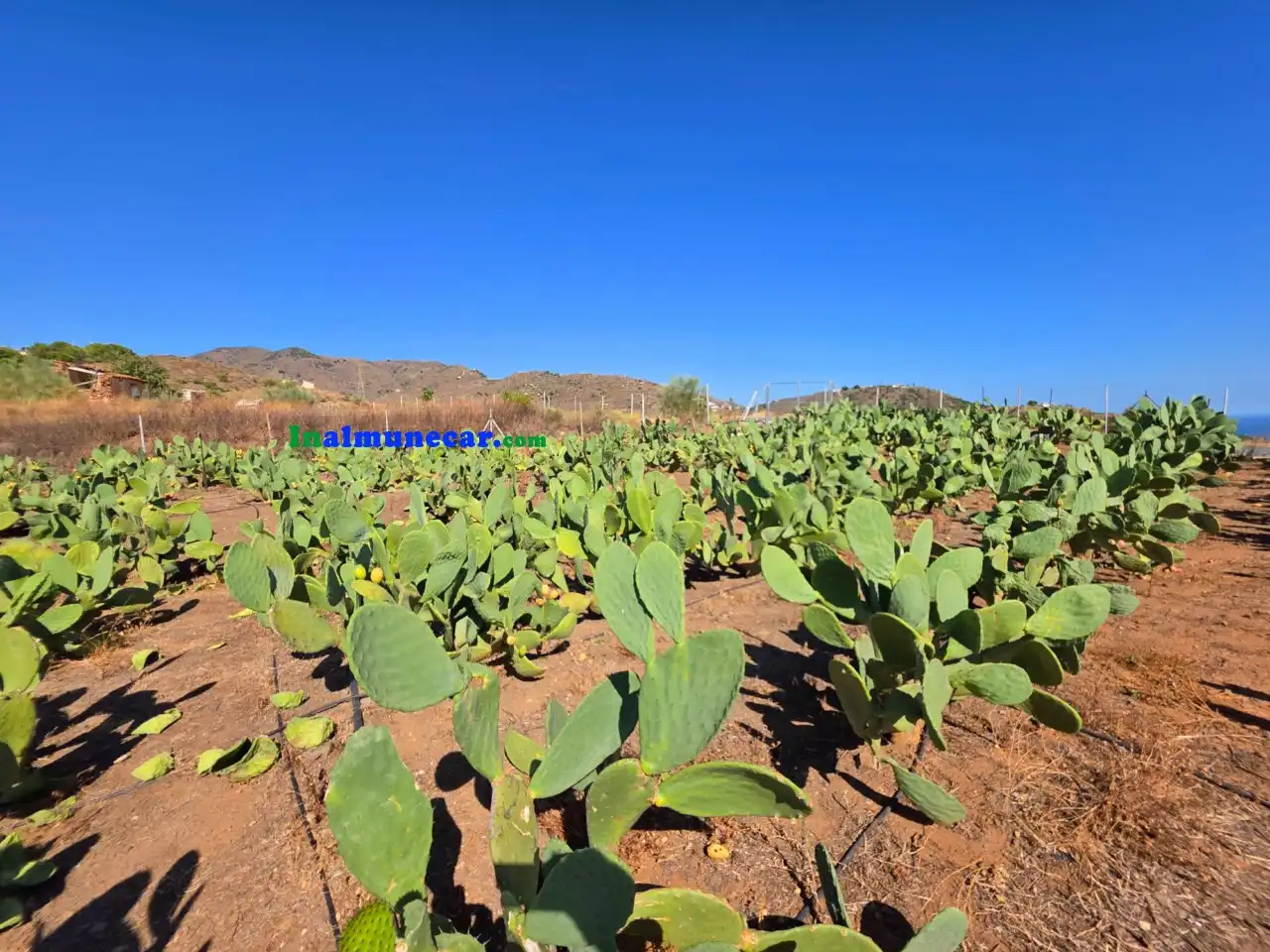 Terrenos y solares en venta en N/A, imagen 19