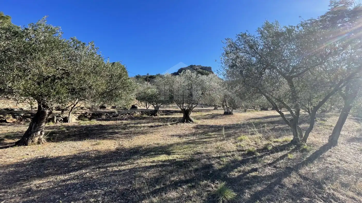 Finca rústica en venta en Vilajuïga