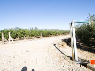 Rural land for sale in Santa Bàrbara