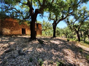 Terreno rústico en venta en Galaroza