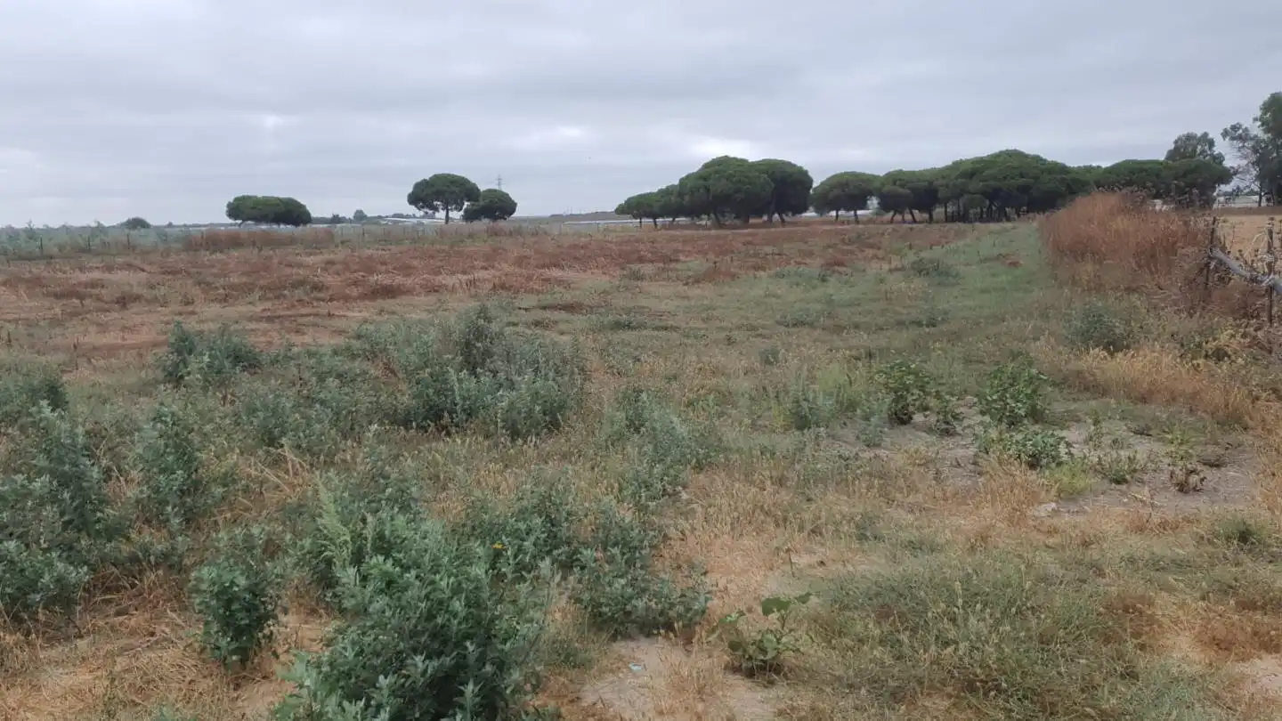 Terreni e lotti in vendita a Las Manchuelas, imagen 6
