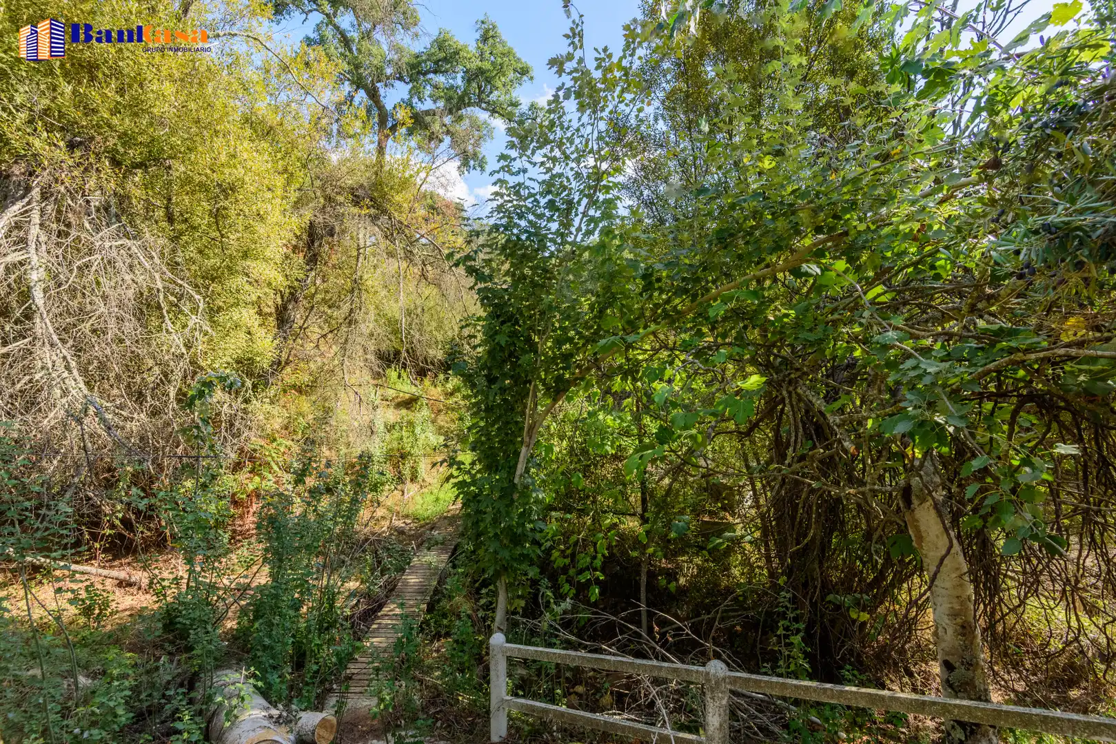 Casa o xalet en venda en Cortes de la Frontera amb Calefacció, Jardí privat i Moblat