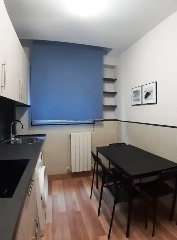 Cocina de Piso de alquiler en Bilbao  con Calefacción, Parquet y Amueblado