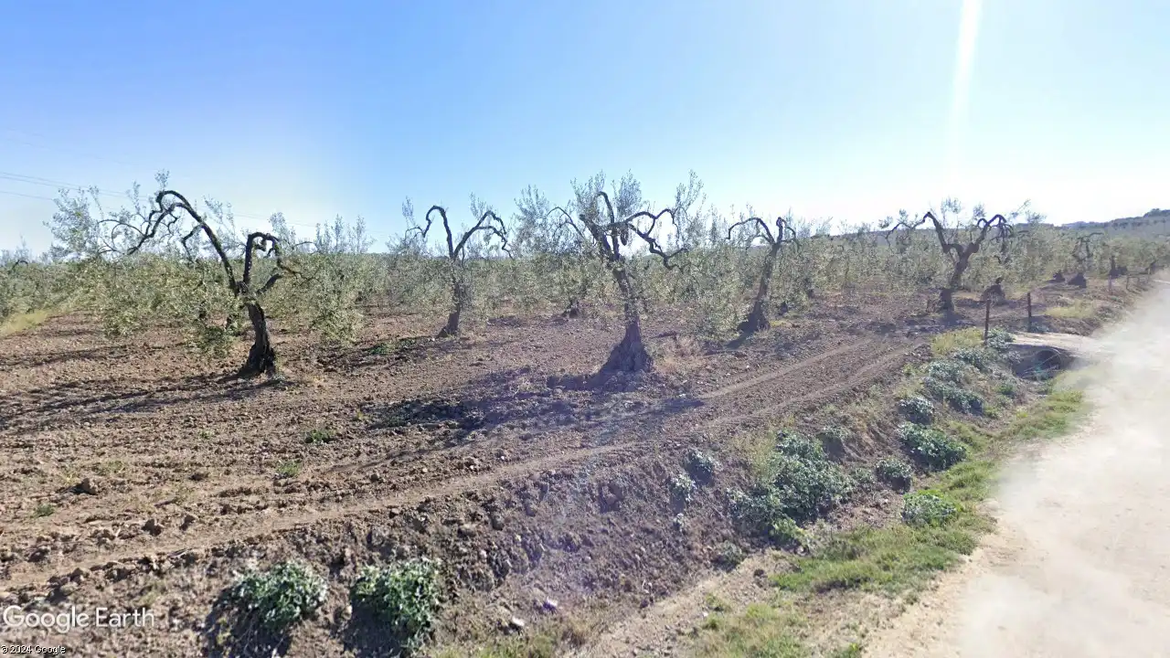 Rustikales Grundstück zum Verkauf in Albaida del Aljarafe, imagen 4