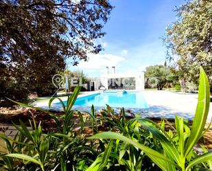 Vista exterior de Casa o xalet en venda en Crevillent amb Aire condicionat, Calefacció i Jardí privat