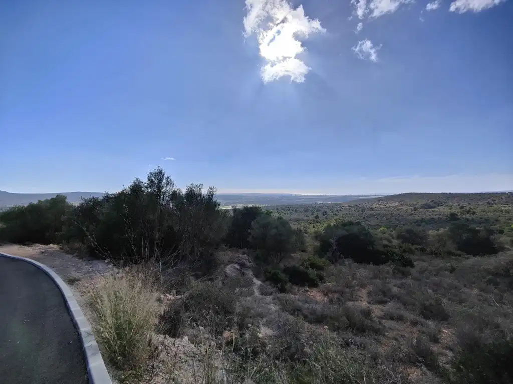Terreny rústic en venda a Llevant, imagen 14