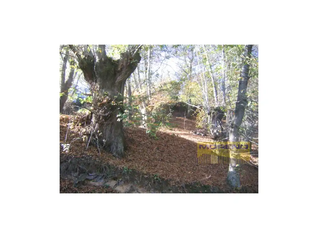 Casa rústica en venda a As Nogais, imagen 7