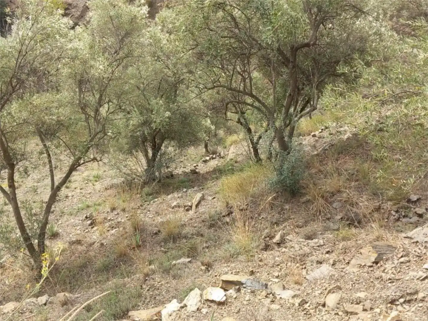 Terreno en venta en Árchez
