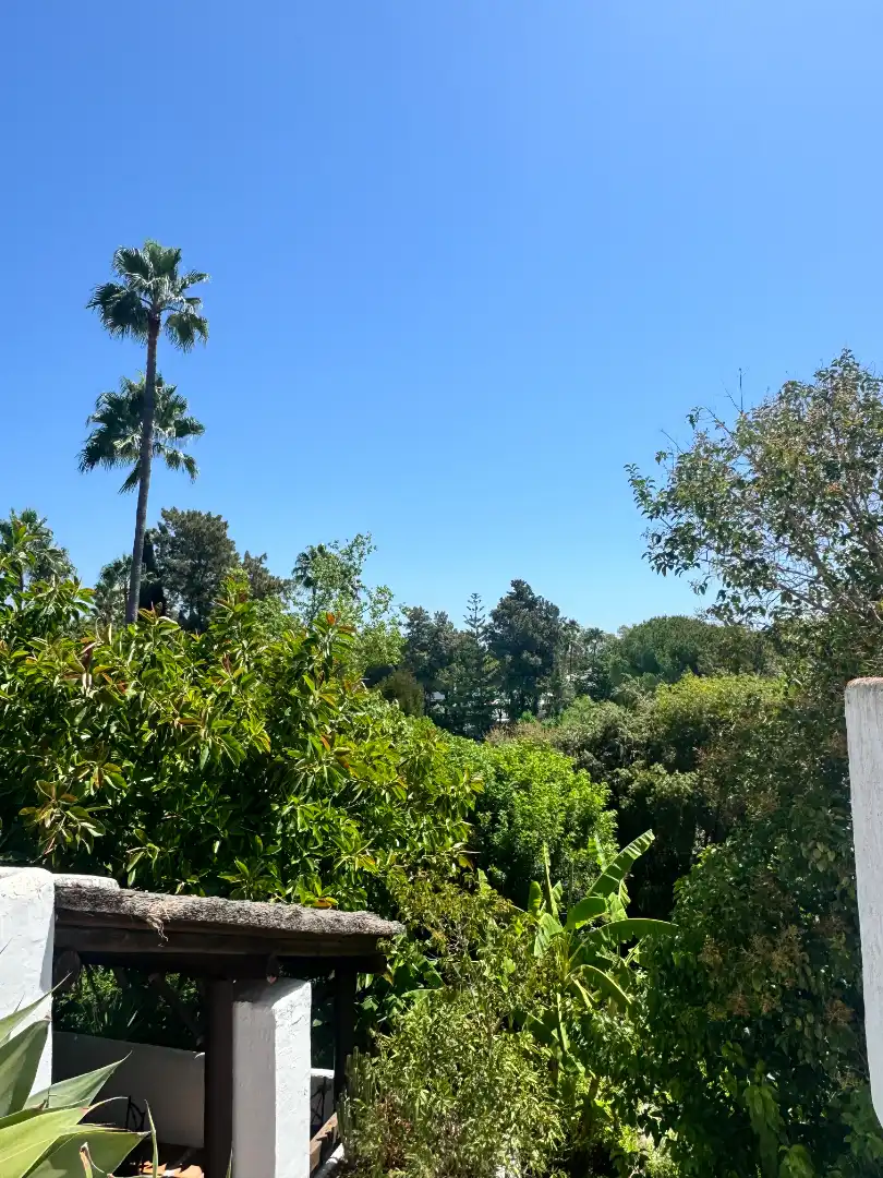 Jardí de Àtic de lloguer en Estepona amb Aire condicionat, Calefacció i Terrassa