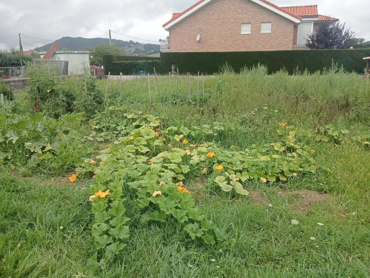 Rustikales Grundstück zum Verkauf in Penagos, imagen 9
