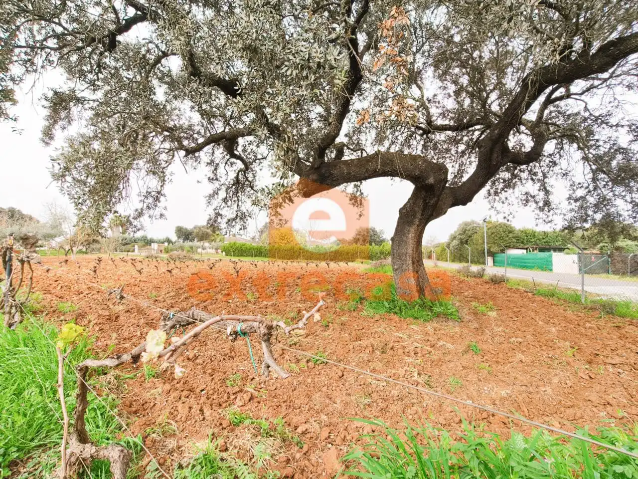 Xalet amb jardí en venda a Dehesilla de Calamón - Campomanes, imagen 23