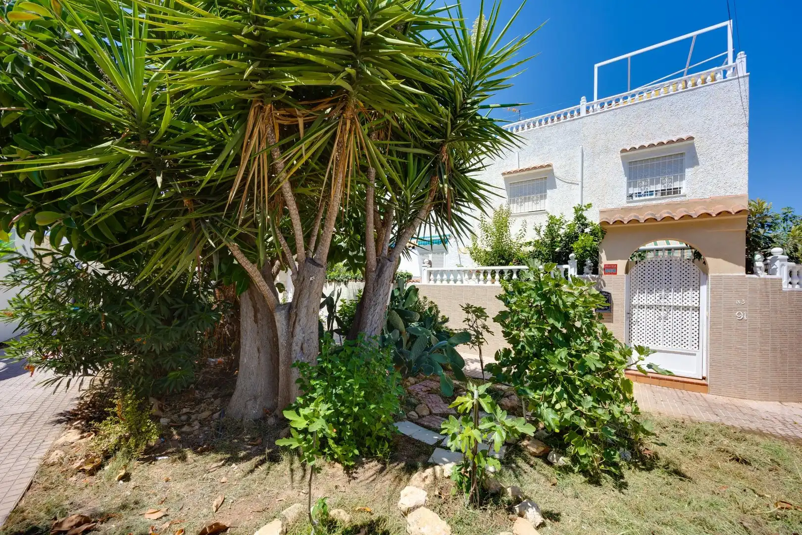Jardí de Casa o xalet en venda en Torrevieja amb Aire condicionat, Jardí privat i Terrassa