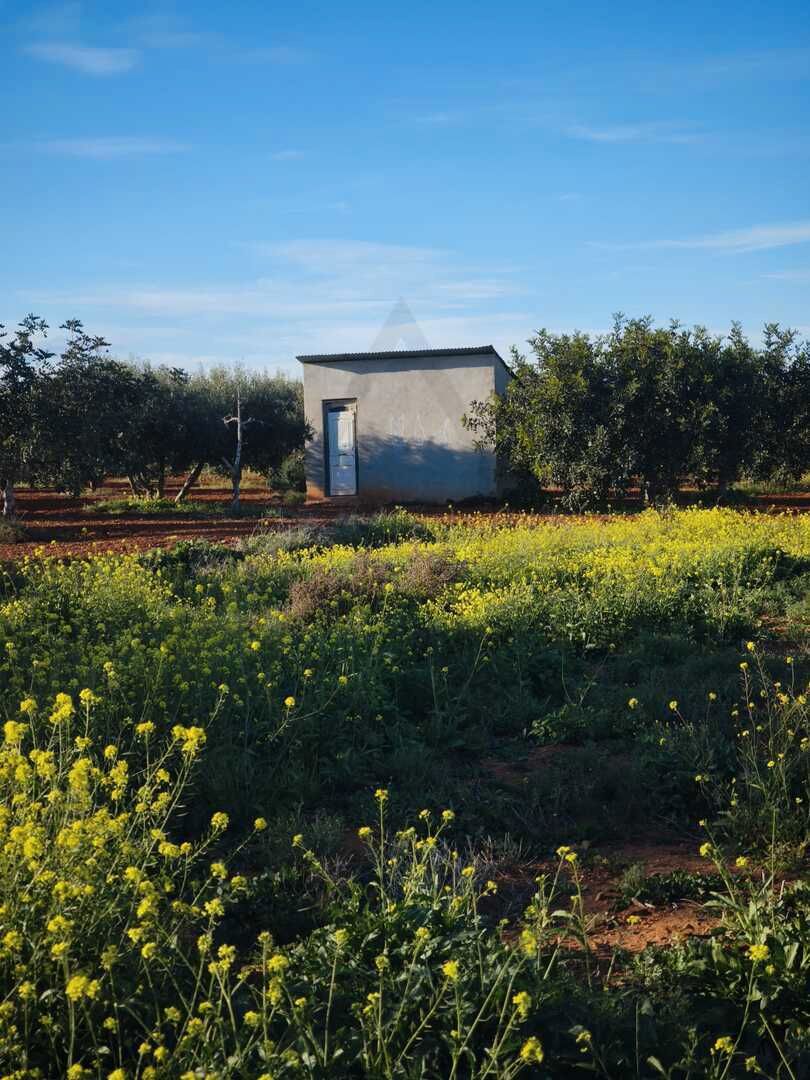 Grundstücke zum Verkauf in Cartagena