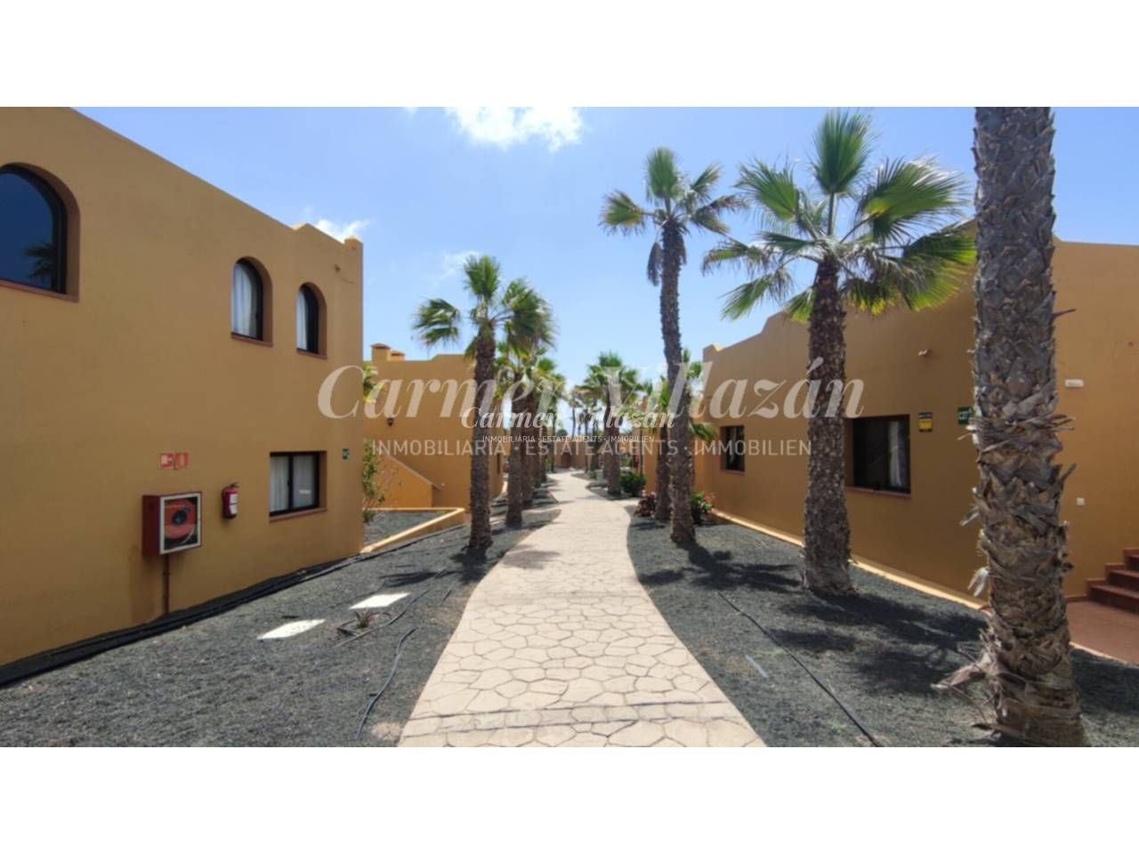 Vista exterior de Apartament en venda en La Oliva amb Jardí privat, Terrassa i Moblat