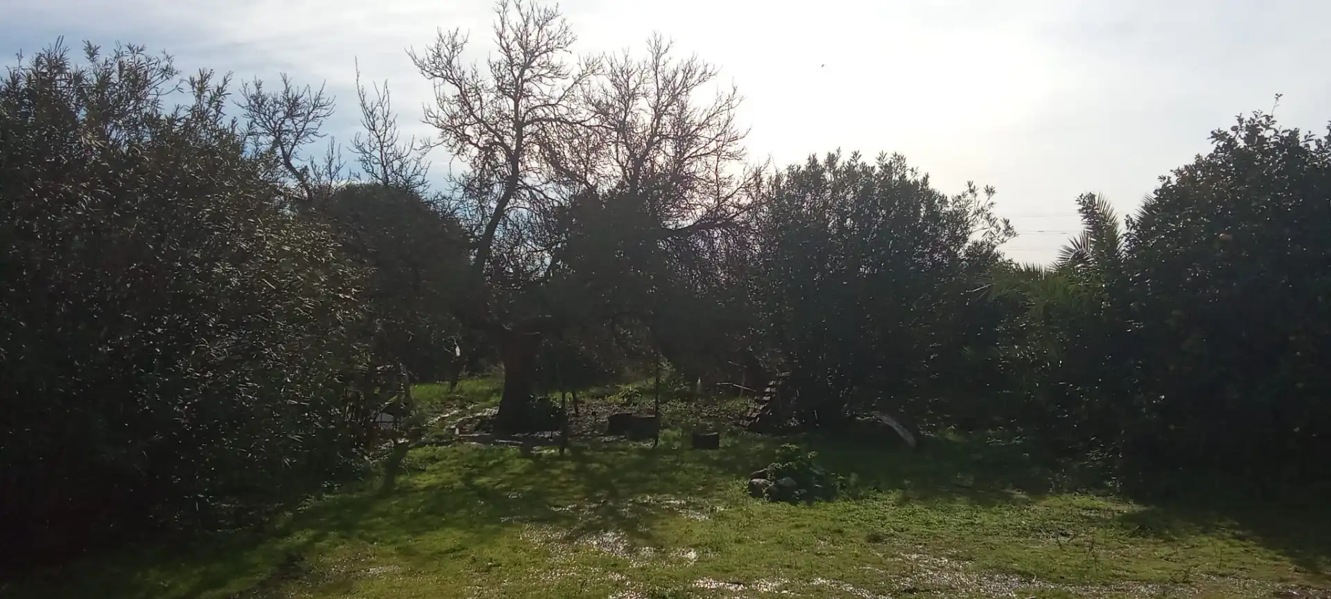 Casa rústica en venda a Vejer, imagen 6