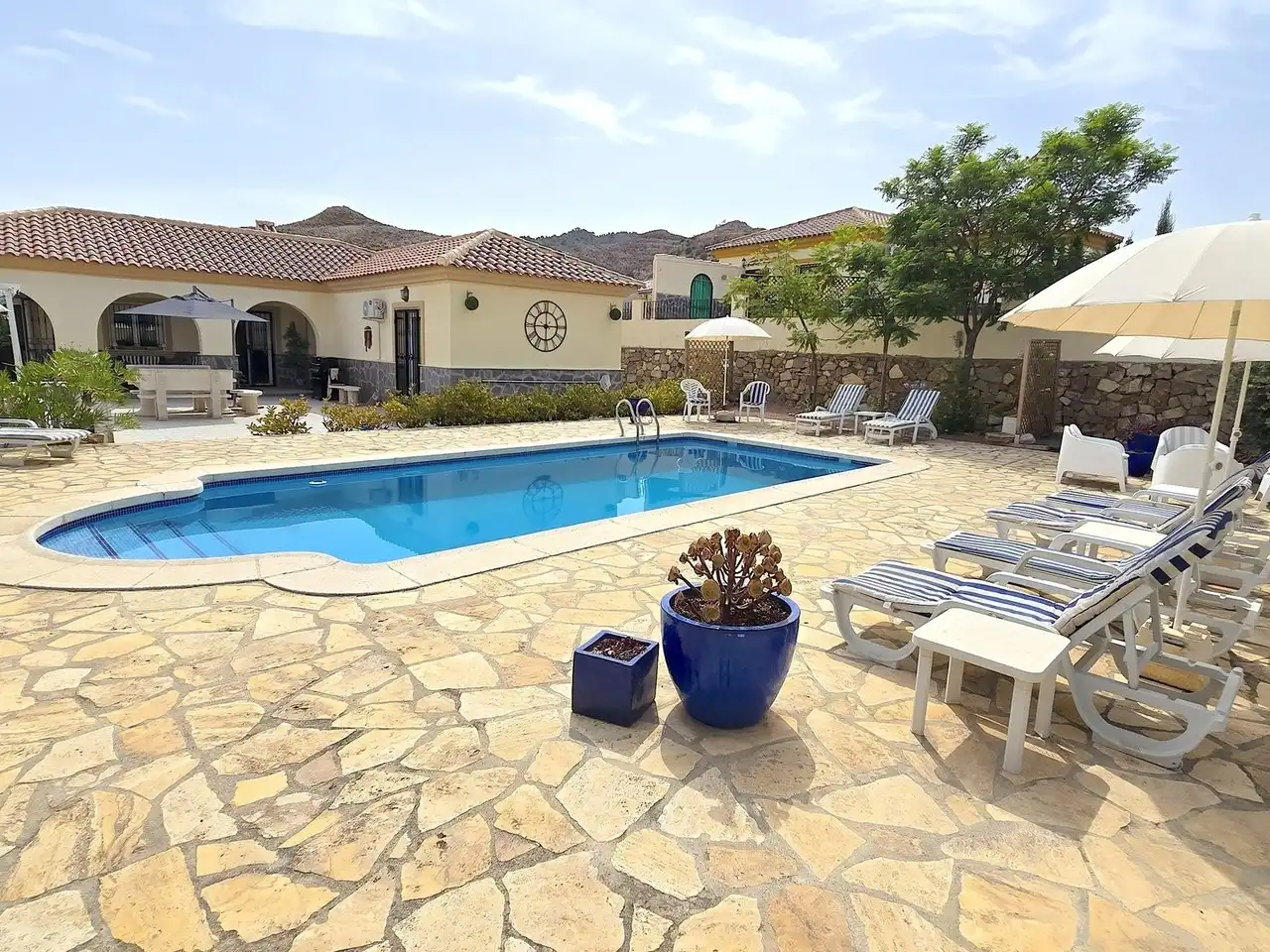 Piscina de Casa o xalet en venda en Arboleas amb Aire condicionat, Terrassa i Piscina