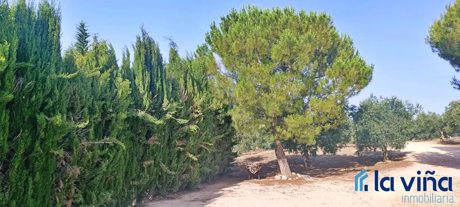 Lands and plots for sale in Bobadilla - Bobadilla Estación - La Joya, imagen 19