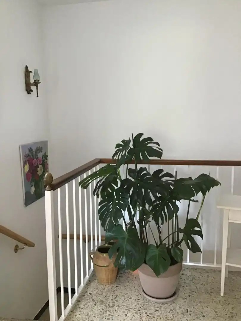 Haus oder Chalet zum Verkauf in Santa Coloma de Farners mit Heizung, Privatgarten und Terrasse