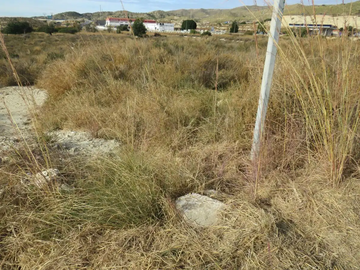 Lands and plots for sale in Pueblo Español - Coveta Fumá, imagen 6
