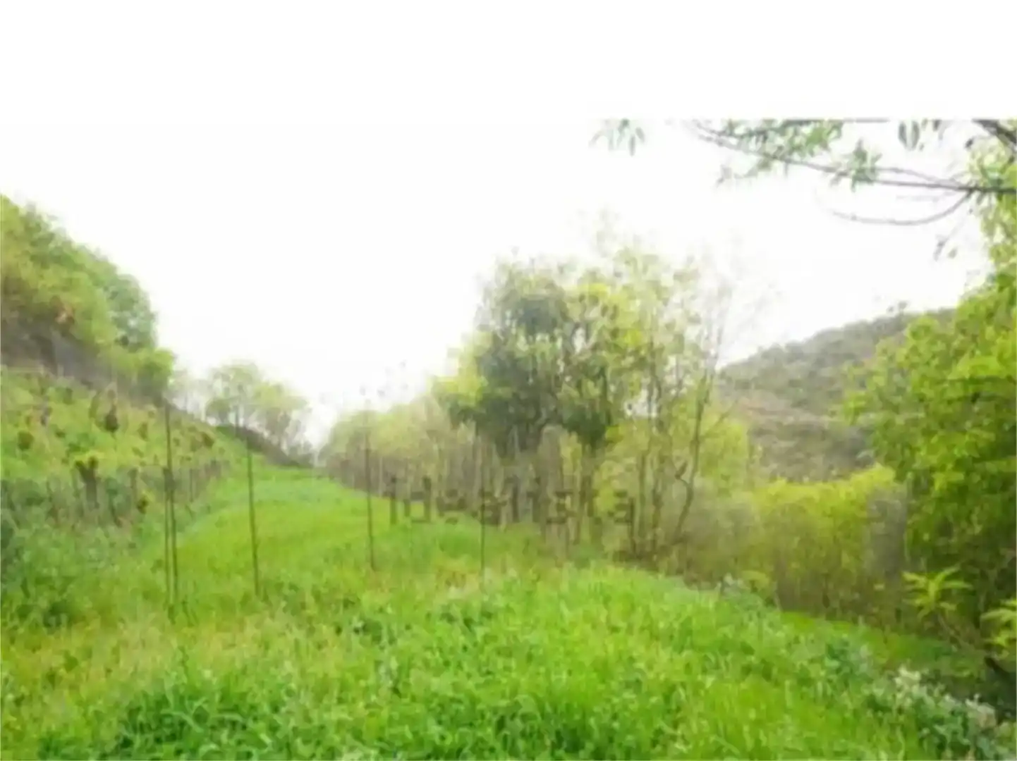 Casa o chalet en venta en Olvena con Jardín privado, Trastero y Amueblado