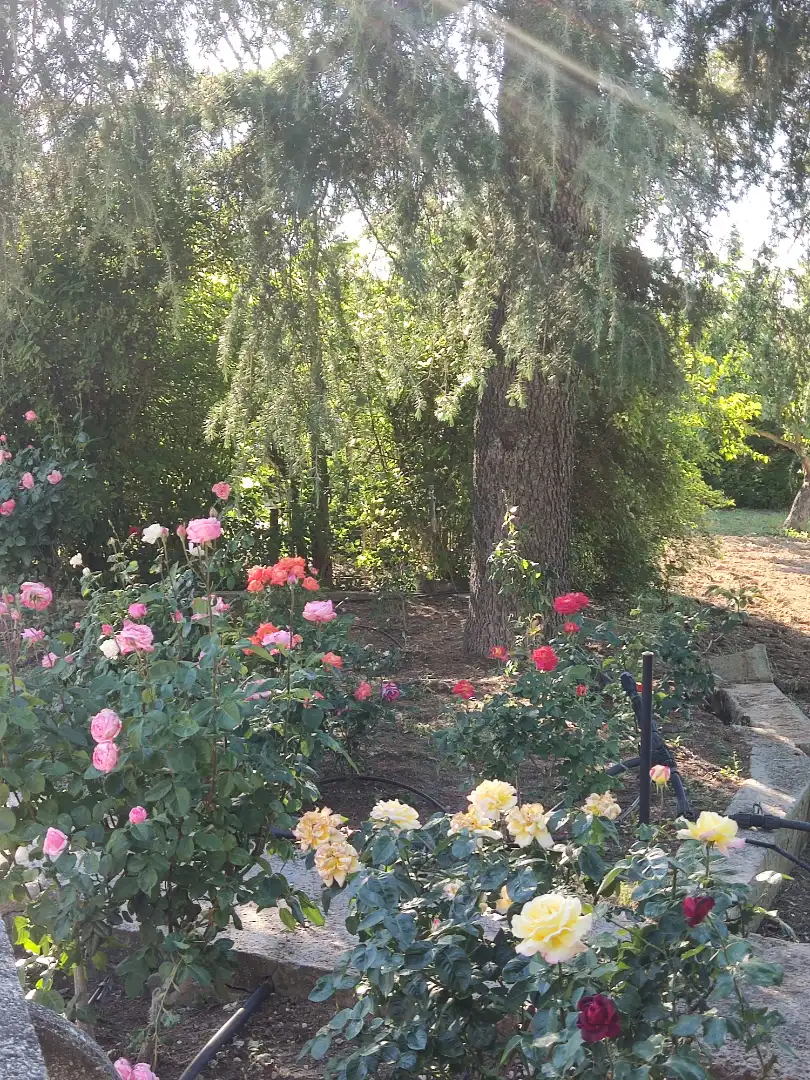 Jardí de Casa o xalet en venda en Ciudad Real amb Aire condicionat, Calefacció i Jardí privat