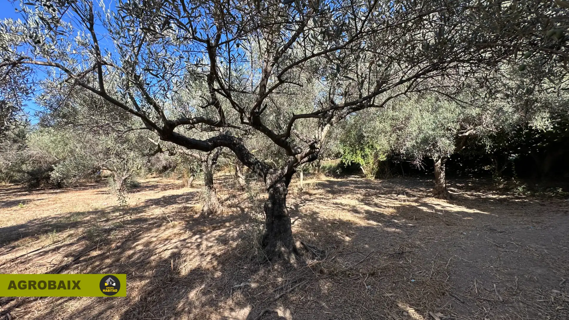 Rural land for sale in BV-2002 114, imagen 17