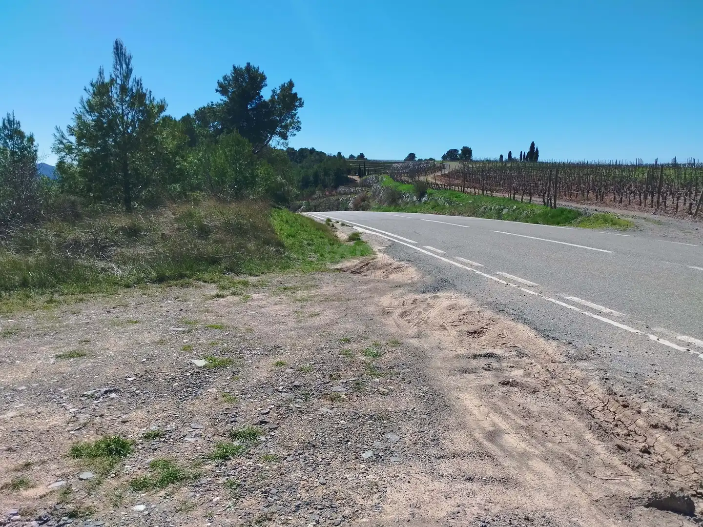 Terreno en venta en La Morera de Montsant