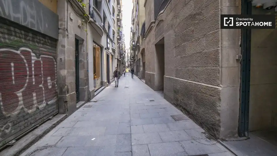 Appartamento con terrazza in affitto a Ciutat Vella, imagen 18