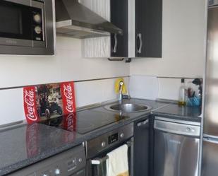 Kitchen of Duplex for sale in Villarcayo de Merindad de Castilla la Vieja  with Heating