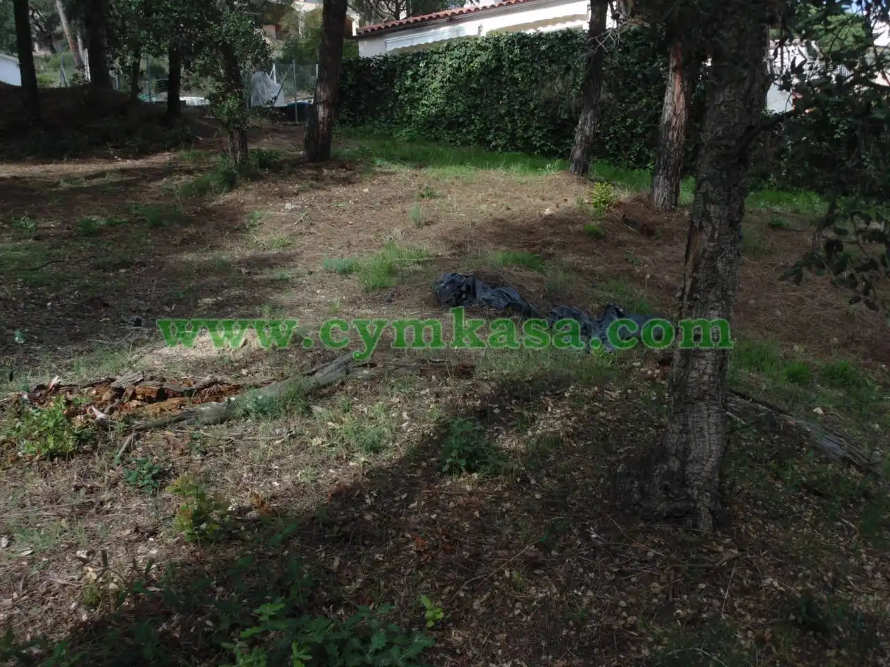 Terreno rustico in vendita a Mas Mora - Sant Daniel, imagen 3