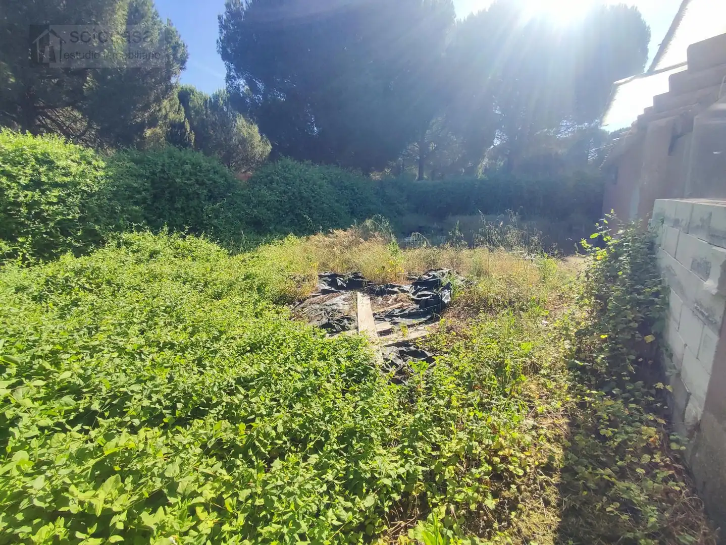 Casa o xalet en venda en Traspinedo amb Calefacció, Jardí privat i Piscina