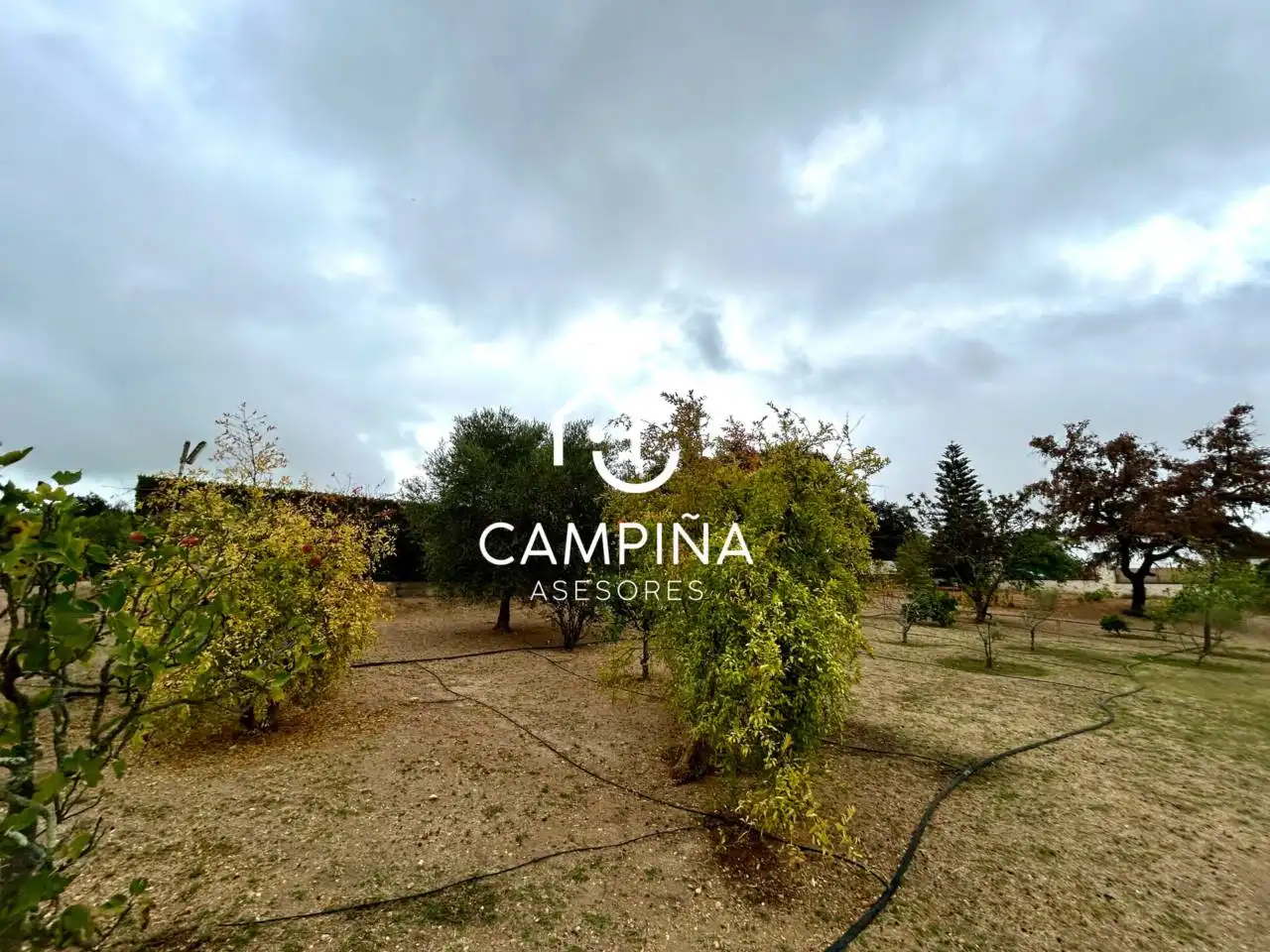 Jardí de Finca rústica en venda en Beas amb Aire condicionat, Jardí privat i Terrassa