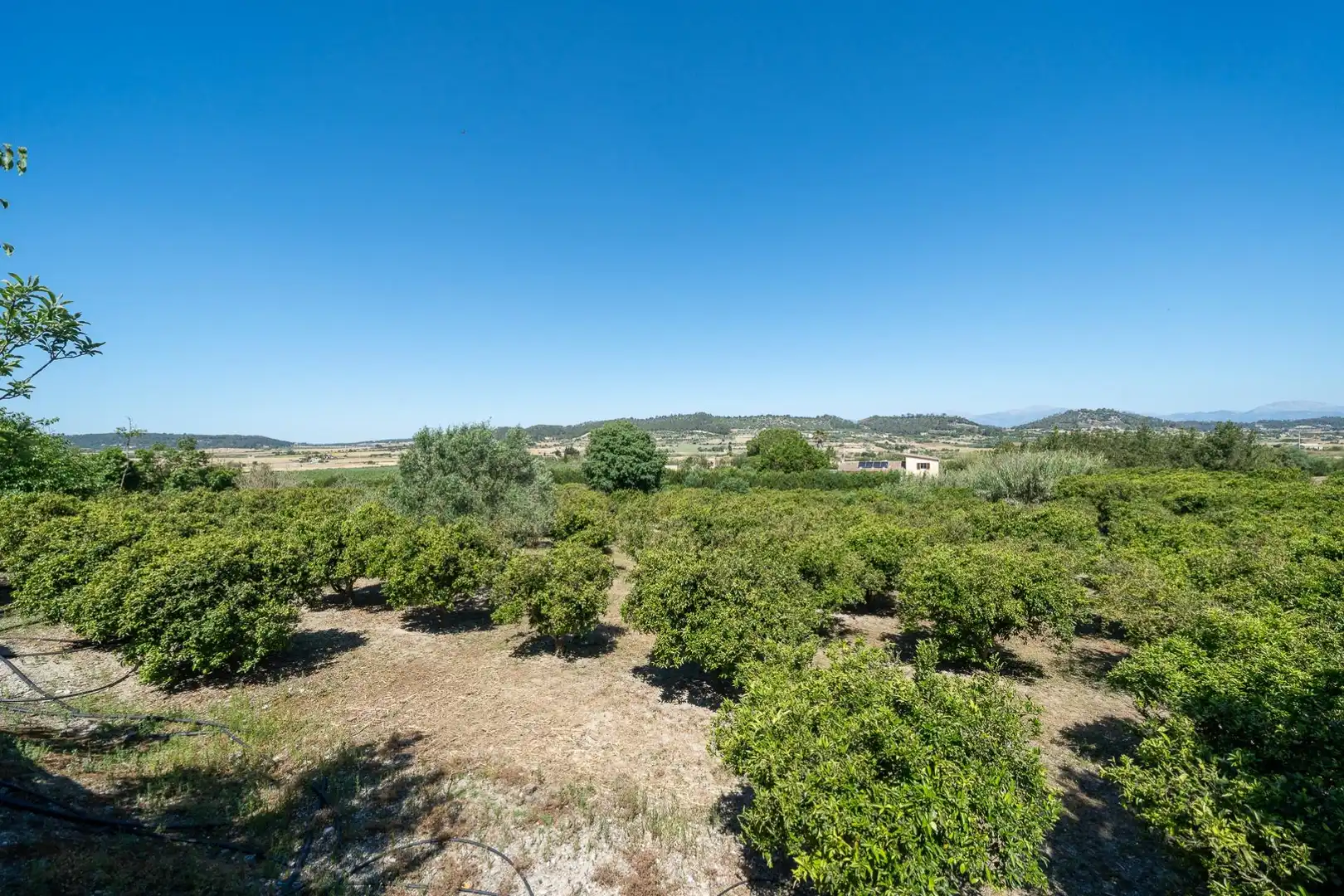 Finca rústica en venta en Sant Joan con Jardín privado, Terraza y Trastero