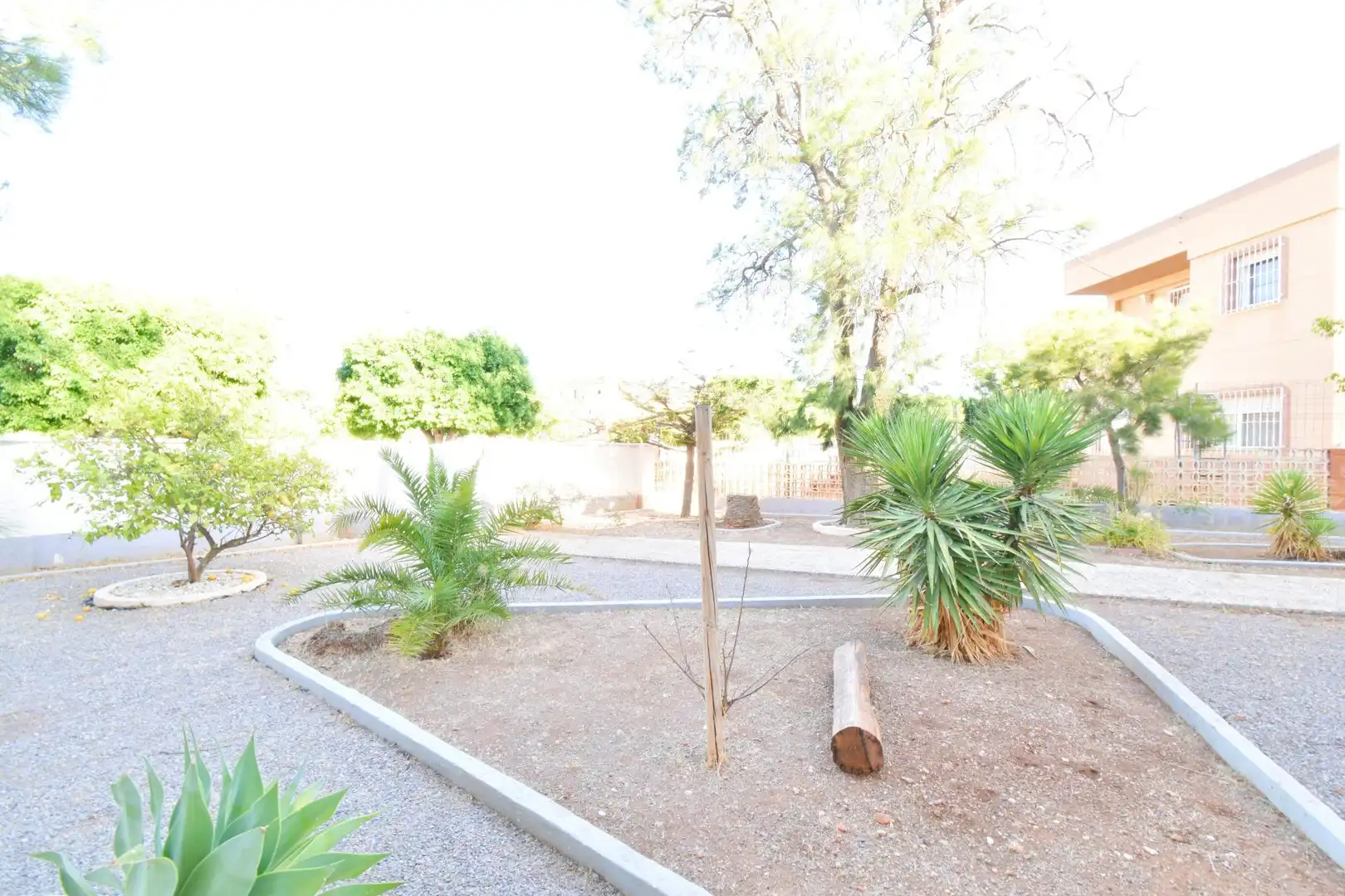 Jardín de Casa o chalet en venta en El Ejido