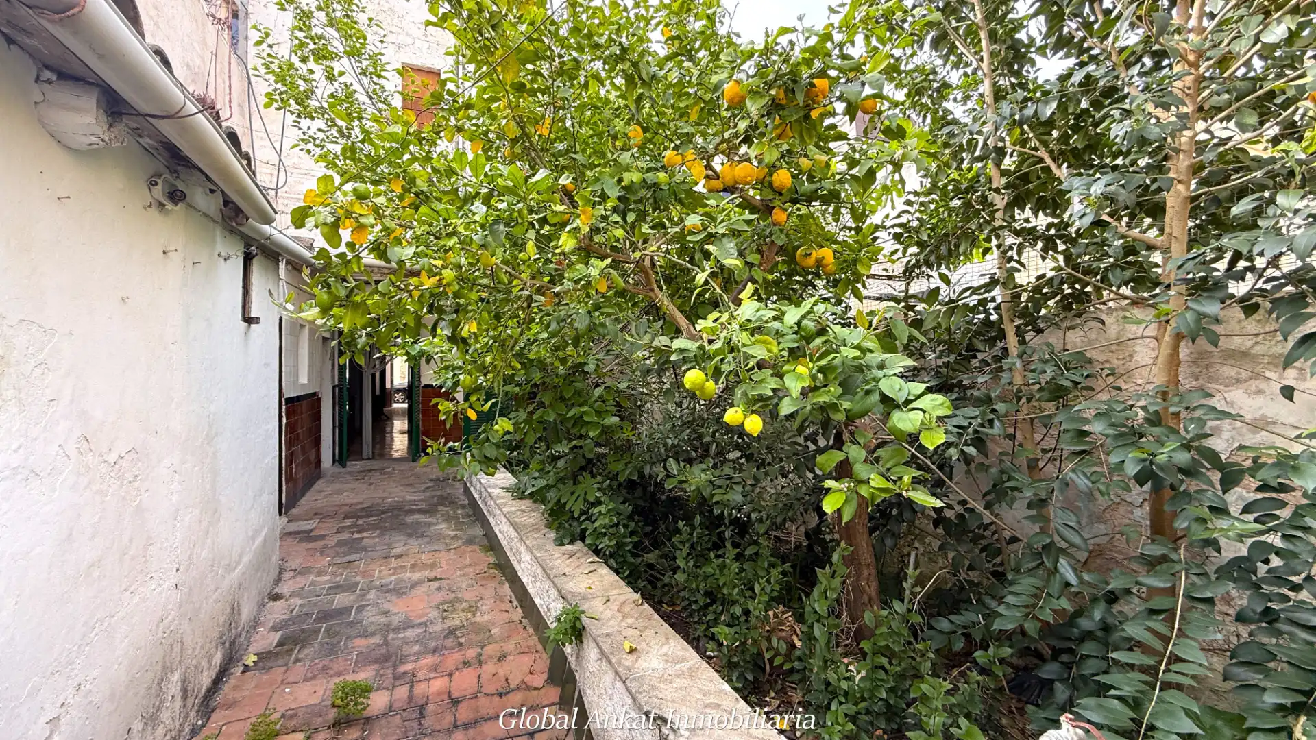 Vista exterior de Casa adosada en venda en Felanitx amb Jardí privat i Terrassa