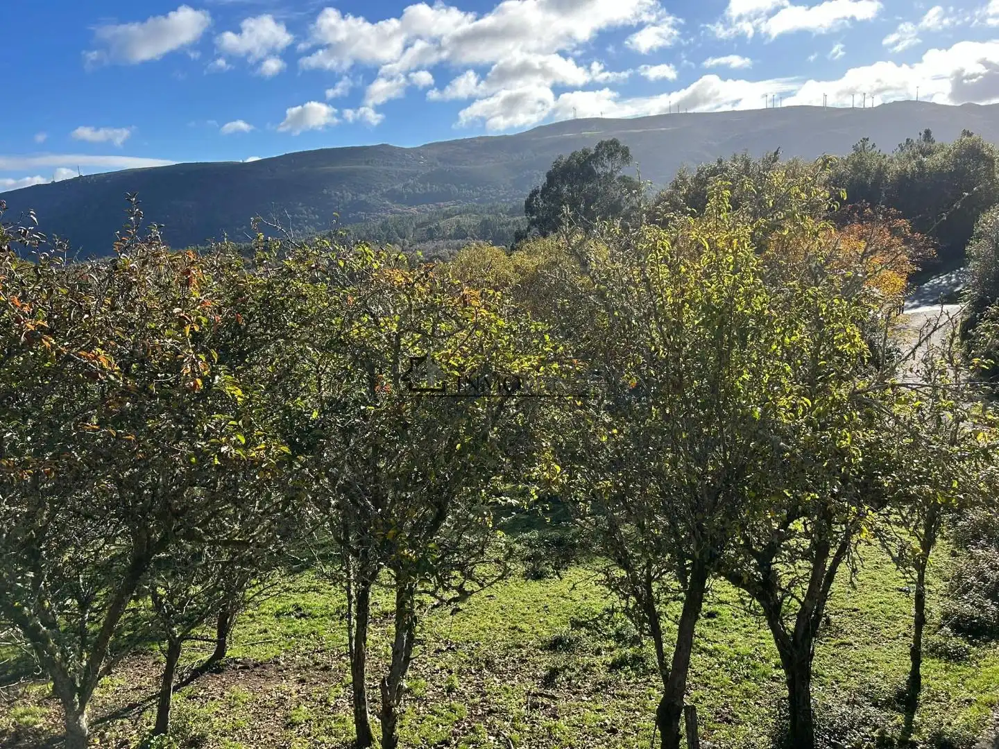 Vista exterior de Casa o xalet en venda en Cerdedo amb Jardí privat