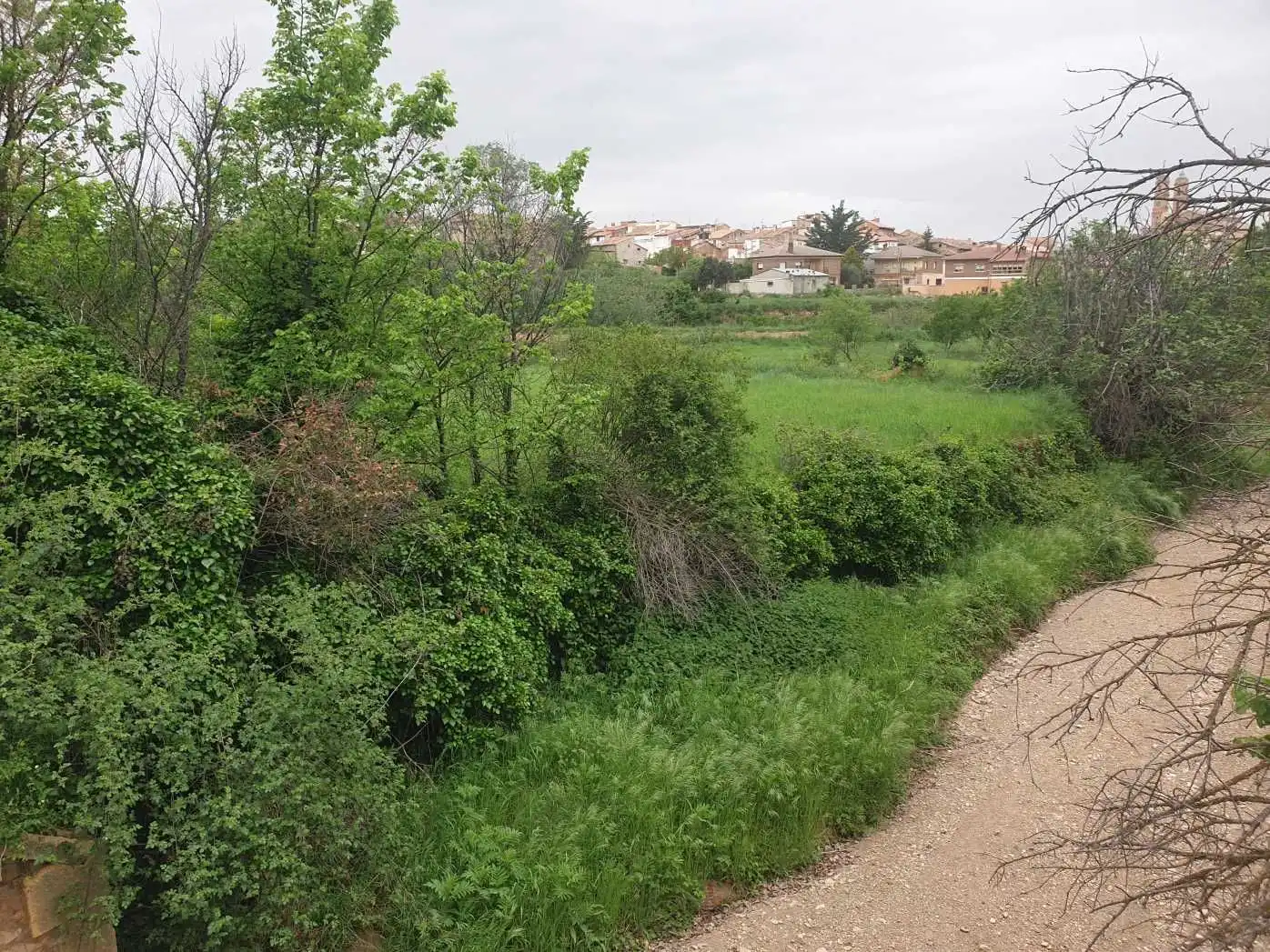 Terreno en venta en Munébrega