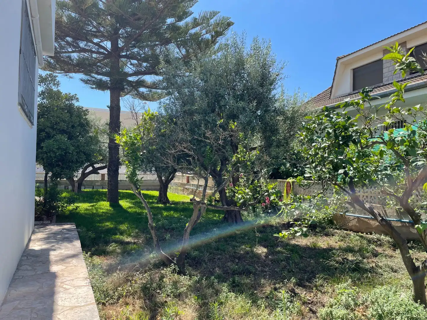 Jardí de Casa o xalet en venda en Vinaròs amb Calefacció, Jardí privat i Terrassa