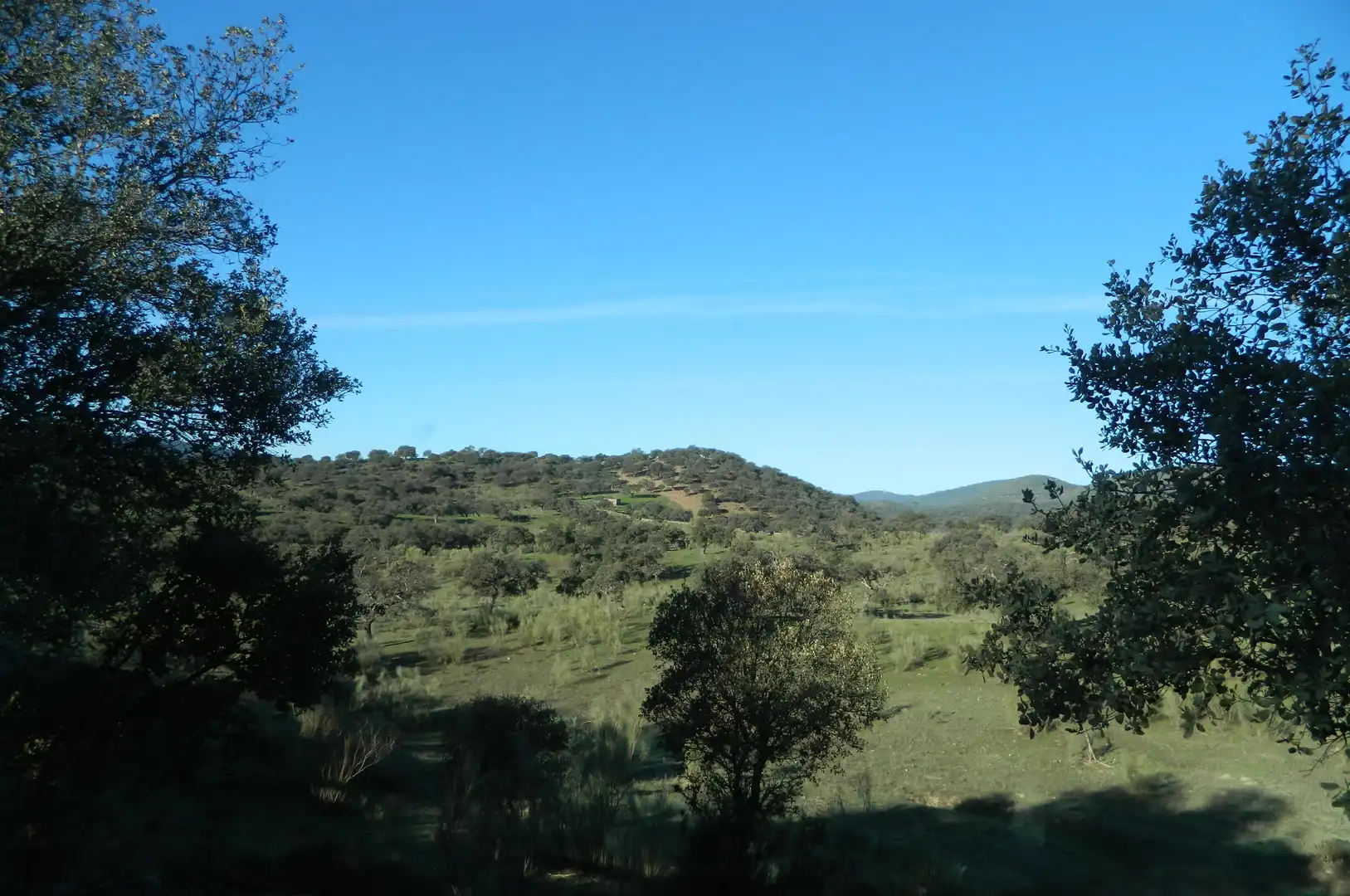 Rural land for sale in La Hispanidad - Verdeluz, imagen 2