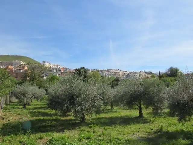 Vista exterior de Apartamento en venta en Cenes de la Vega