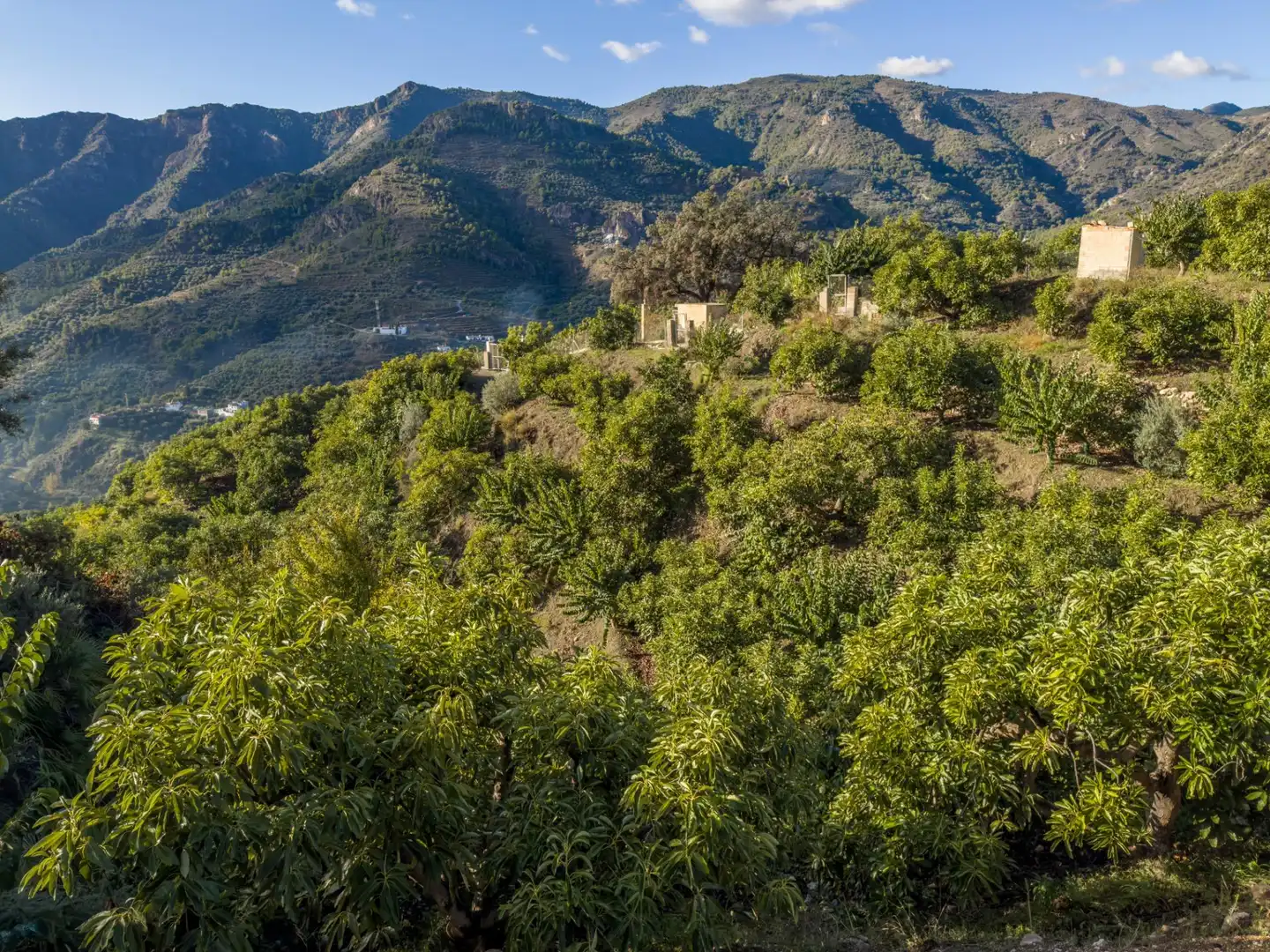 Finca rústica en venda en Los Guájares amb Terrassa i Traster