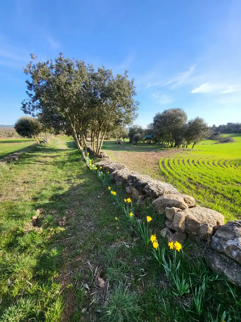 Terreno en venta en Pinell de Solsonès