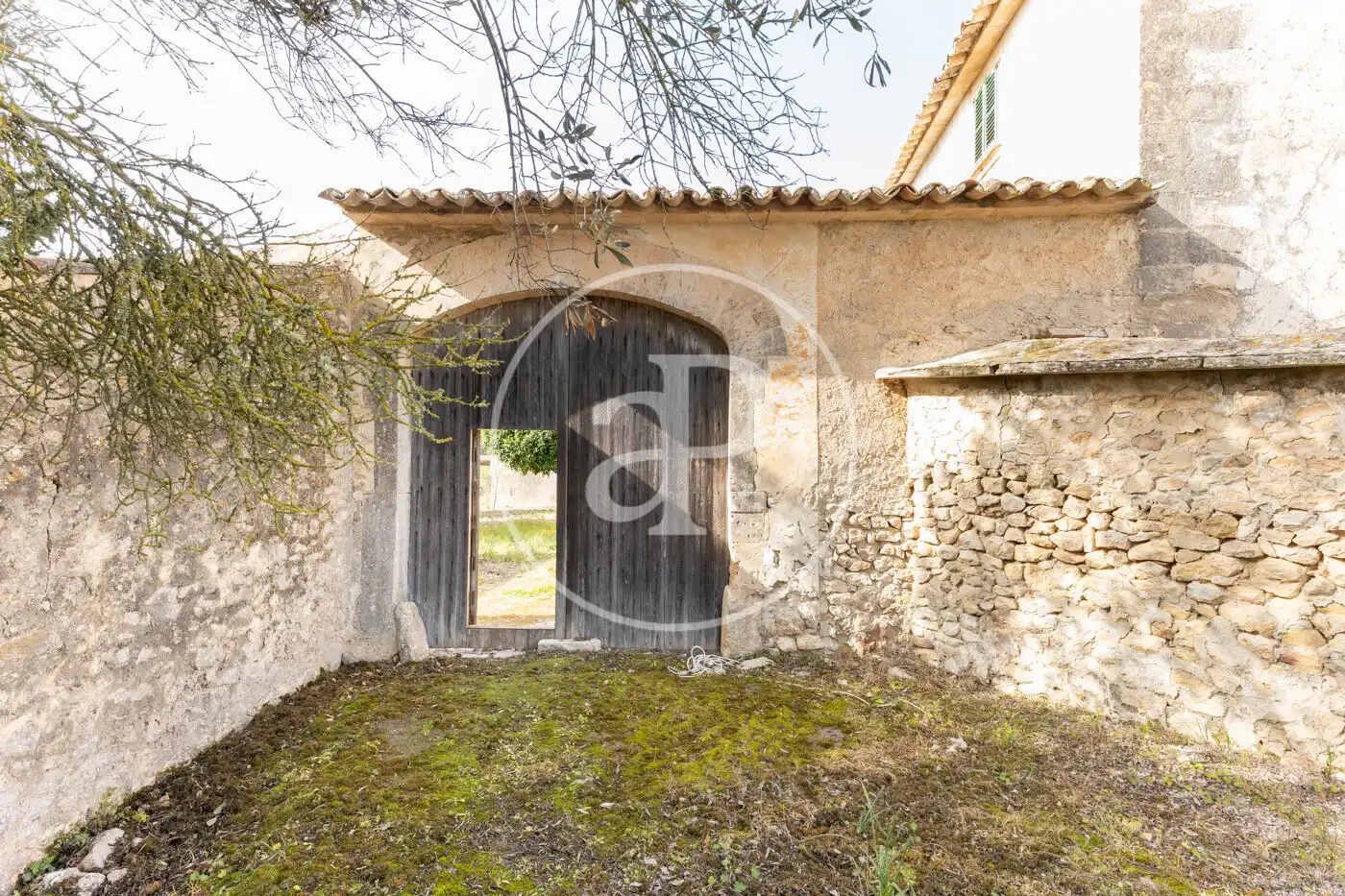 Vista exterior de Finca rústica en venta en Archena con Calefacción, Jardín privado y Terraza