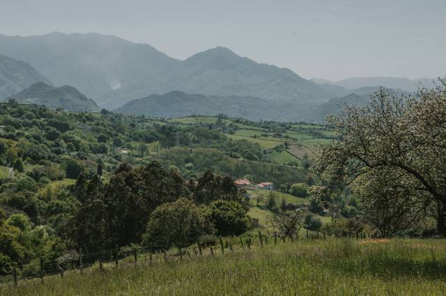 Terreno residencial en Venta en Cruces - PADERNI, SAN ESTEBAN DE LAS CRUCES en Parroquias Sur - La Manjoya