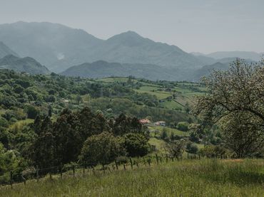 Terreno residenziale in vendita a Cruces - PADERNI, SAN ESTEBAN DE LAS CRUCES