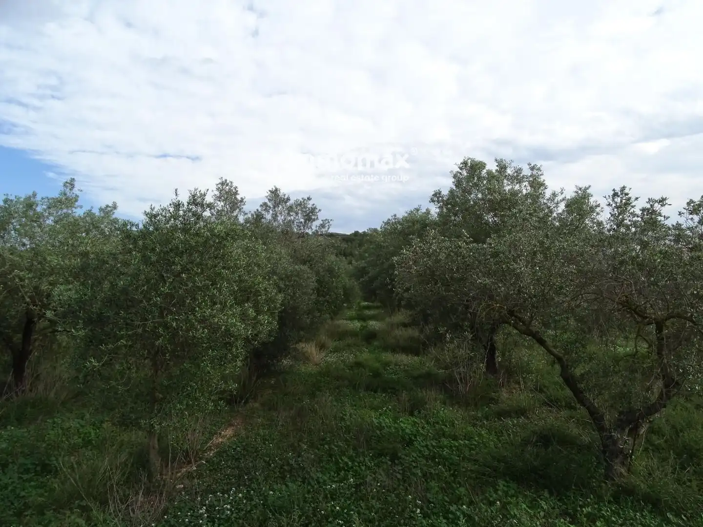 Residencial en venda en El Pinell de Brai